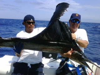  Sailfish 